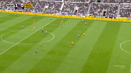 gif, net